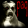 paqs avatar