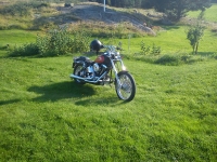 Granska bild